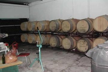 Imagen Viña valdelapiedra